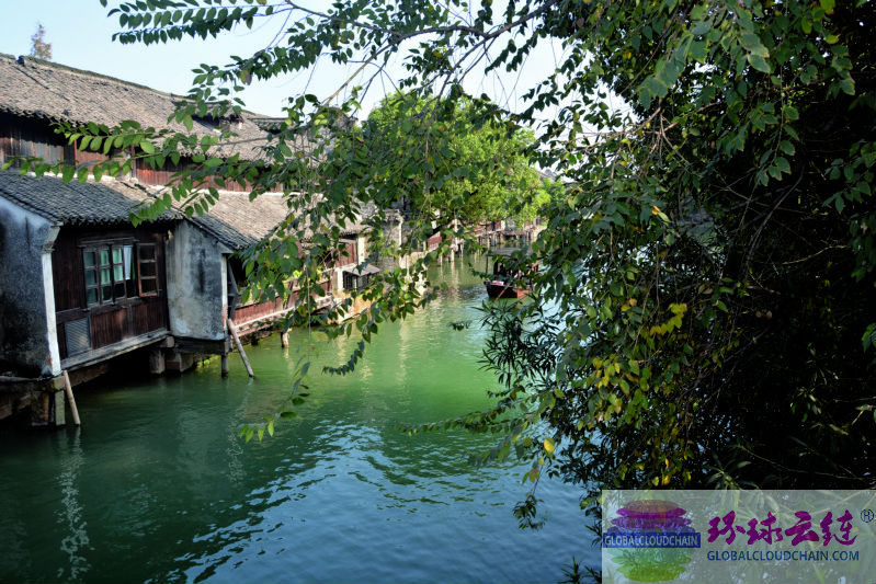 DSC_0105_1.jpg